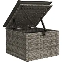 vidaXL 9-delige tuinmeubelset met kussens, grijs, polyrotan, acaciahout