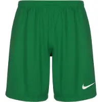 Nike Sportbroek 'League III' groen / wit