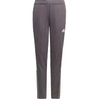 Adidas Sportbroek 'Tiro' donkergrijs / wit