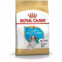 Royal Canin 6x Hondenvoer Droog Cavalier King Charles Puppy 1,5 kg