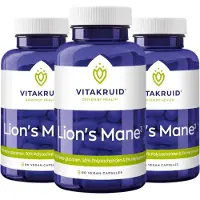Vitakruid 2x Lion’s Mane (90 capsules)