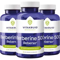 Vitakruid 2x Berberine 500 Rebersa (90 capsules)
