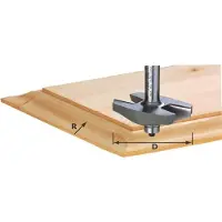 Festool HW S12 D67 x D12 Afplatfrees HW 490127
