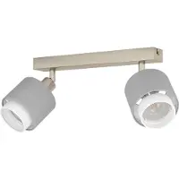 Eglo 2-lichts plafondlamp Bellizzi RVS - 2x E14