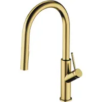 Omnires Bend - Keukenkraan met uittrekbare vuistdouche, geborsteld messing BE6455BSB