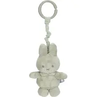 Top 1 Toys Little Dutch Nijntje trilfiguur groen