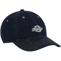 Dickies Pet blauw denim