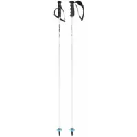 Head Skistok Worldcup Rebels Carbon White-140 cm