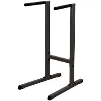 Body-solid GDIP59B Dip Station