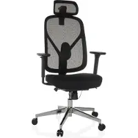 Hjh OFFICE Bureaustoel / draaistoel RALOO PRO zitting stof / rugleuning mesh zwart
