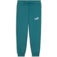 Puma Sportbroek 'Ess No. 1' smaragd / wit