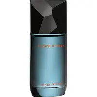 Issey Miyake Fusion d'Issey Eau de toilette spray 100 ml
