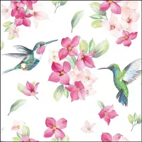 Ambiente papieren Servetten “Diligent Hummingbirds” / “IJverige Kolibries” white – 20 Stuks, 33 x 33 cm