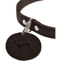 Hunter Pet Halsband Aalborg