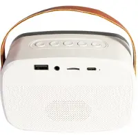 Ibiza Light KARAKID20 Mini bluetooth speaker met 2 draadloze microfoons