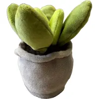 Take Me Home plant pluche S 12-17cm
