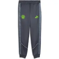 Puma Sportbroek 'Manchester City King Anthem' lichtgrijs / groen