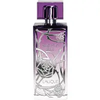 Lalique Amethyst Eclat Eau de Parfum 50 ml