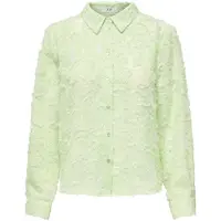 JDY Blouse 'JDYMaia' pastelgroen