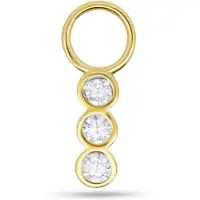 New Bling - 9NBG-O101 - 14K geelgoud – Oorbelhanger - per stuk – 3 Cirkels – Zirkonia
