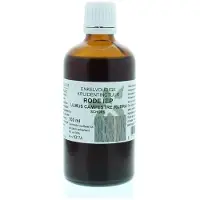 Cruydhof Ulmus campestre rubra / rode iep tinctuur