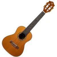 Flight : Diana Concert Electro Ukulele -