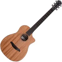Furch Guitars Pioneer Mm