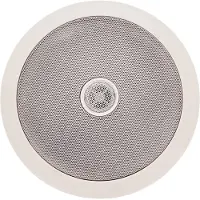 SubZero 6" Ceiling Speaker 100V Line