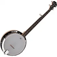 Tanglewood TWB 18 M5 Banjo