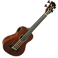 Eko guitars Eko Duo EQ Ukubass With Gig Bag
