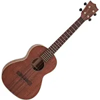 Martin Guitars 2Kt