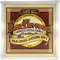 Ernie Ball Earthwood Zijde en Staal 12-snarige zachte akoestische gitaarsnaren, maat 9-49 (P02051)