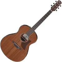 Ibanez AAM54 Open Pore Natural