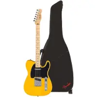 Fender Standard Telecaster with Gigbag/Case Build Your Own Bundle