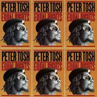 MUSIC ON VINYL Equal Rights