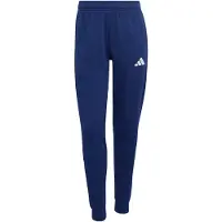 Adidas Sportbroek 'Entrada26' blauw / wit