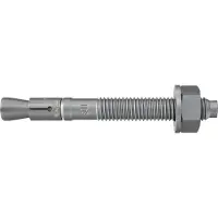 Fischer 507589 FBN II 12/10 fvz Boutanker 106 mm 12 mm 20 stuk(s)