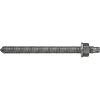 Fischer 50294 RG M 10x165 A4 Ankerstang 165 mm 17 mm 10 stuk(s)