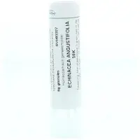 Homeoden Heel Echinacea angustifolia 30K