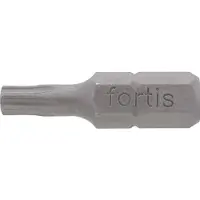 Fortis Torx T40 bits 1/4" x 25 mm - Set van 10