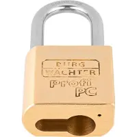 Burg wachter 116 PC 50 Niro Hangslot 51.3 mm Messing Hangslot voor profielcilinder