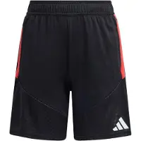 Adidas Sportbroek 'Tiro 26 Competition' rood / zwart / wit