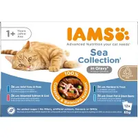 IAMS Delights Adult Cat Natvoer