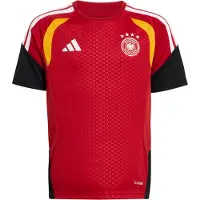 Adidas Functioneel shirt 'DFB TR JSYY' rood