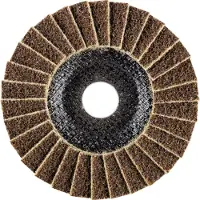 PFERD TOOLS 44694111 Pvl Lamellenschijf Diameter 125 mm Boordiameter 22.23 mm Korrelgrootte (num) 100 5 stuk(s)