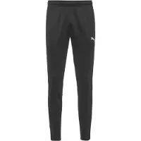 Puma Sportbroek 'Team Goal' grijs / zwart