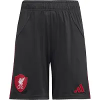 Adidas Liverpool Uitshorts 2025/26 Kids