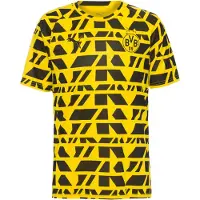 Puma Tricot 'Borussia Dortmund' geel / zwart