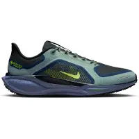 Nike Pegasus 41 GORE-TEX FQ1356 Hardloopschoenen | Maat 44.5 Heren Zwart