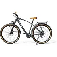 Sharp Brooklin elektrische herenfiets 29 inch